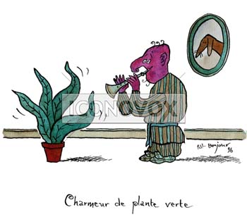 Charmeur de plantes vertes, dessin de Bonjour, réf. 0030-0047