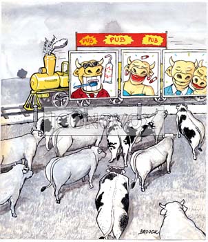 Vaches, dessin de Brouck, réf. 0002-0206