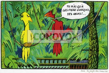 Dans la jungle des linéaires, dessin de Gaüzère, réf. 0001-0313