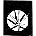 Cannabis, dessin de Gaüzère, réf. 0001-1108