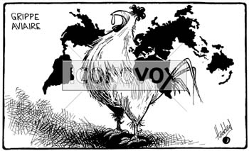 La grippe aviaire, dessin de Haddad, réf. 0018-0041