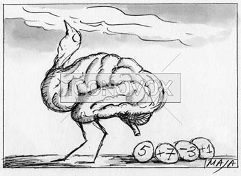 Les bases cérébrales de l'intuition numérique, dessin de Maja, réf. 0006-0055
