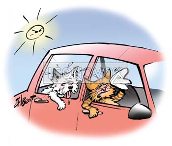 dessin de Albert, réf. 0039-0446