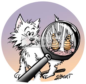dessin de Albert, réf. 0039-0729