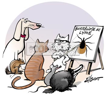 dessin de Albert, réf. 0039-0736