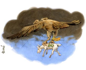 dessin de Boiré, réf. 0073-0006