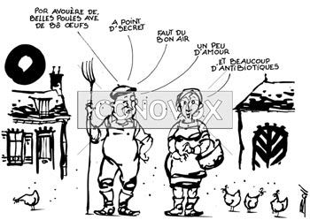dessin de Boll, r&eacute;f. 0008-0071