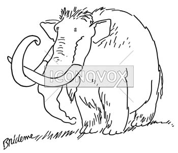 dessin de Bridenne, réf. 0012-0019