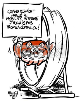 dessin de Bruno Dalèle, réf. 0033-0001