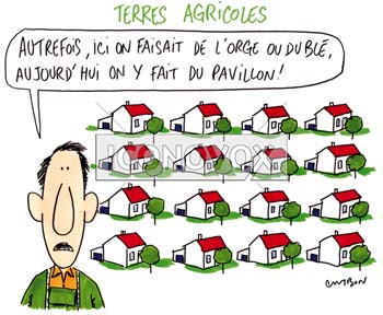 dessin de Cambon, réf. 0056-0555