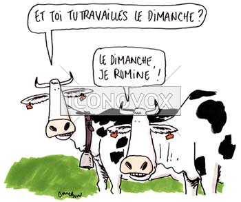 dessin de Cambon, réf. 0056-0724