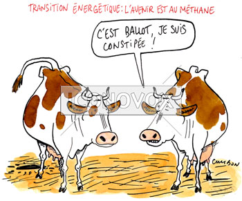 dessin de Cambon, réf. 0056-1779