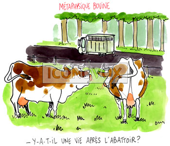 dessin de Cambon, réf. 0056-2243