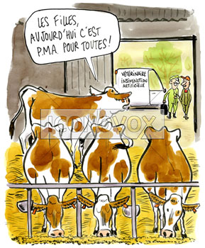 dessin de Cambon, r&eacute;f. 0056-2842