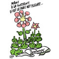 Coco, réf. 0061-0005