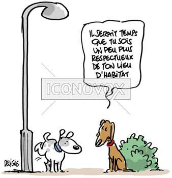 dessin de Deligne, réf. 0063-0024