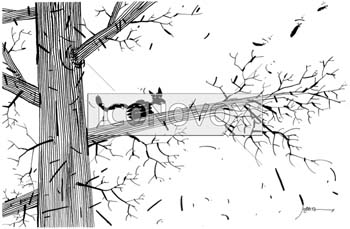 dessin de Dobritz, réf. 0049-0476