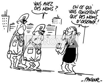 dessin de Faujour, réf. 0019-0385