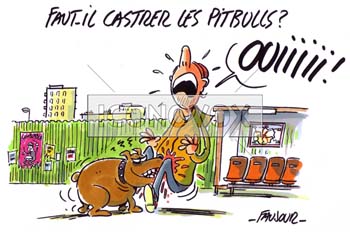 dessin de Faujour, réf. 0019-3510