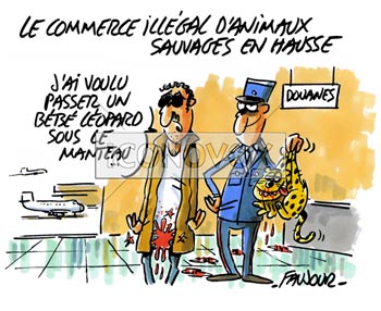 dessin de Faujour, réf. 0019-4648