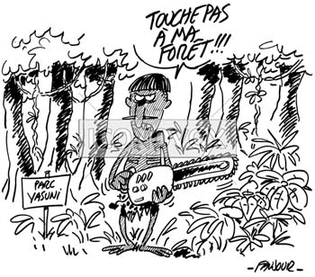 dessin de Faujour, réf. 0019-4954