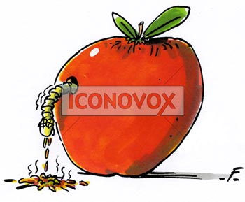 dessin de Faujour, réf. 0019-5121