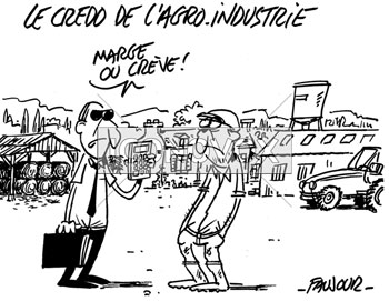 dessin de Faujour, réf. 0019-6163