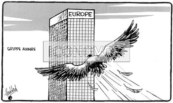 La grippe aviaire, dessin de Haddad, réf. 0018-0040