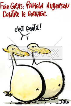 dessin de Jiho, réf. 0031-2908
