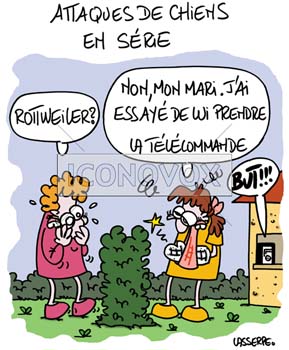 dessin de Lasserpe, réf. 0036-0066