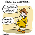 dessin de Lasserpe, r&eacute;f. 0036-0475