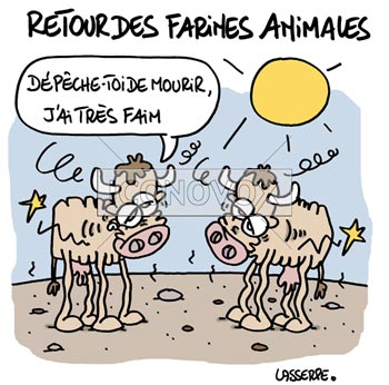 dessin de Lasserpe, réf. 0036-1267