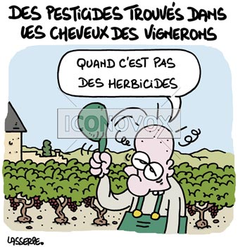 dessin de Lasserpe, réf. 0036-2125
