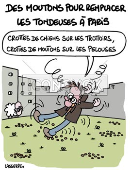 dessin de Lasserpe, réf. 0036-2198