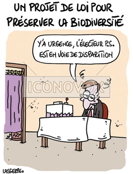 dessin de Lasserpe, réf. 0036-3439
