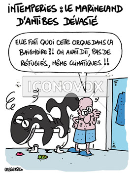 dessin de Lasserpe, réf. 0036-3760