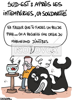 dessin de Lasserpe, réf. 0036-3764