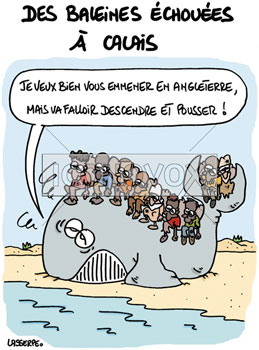 dessin de Lasserpe, réf. 0036-3806