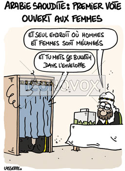 dessin de Lasserpe, réf. 0036-3876
