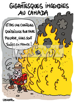 dessin de Lasserpe, réf. 0036-4125