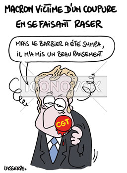 dessin de Lasserpe, réf. 0036-4228