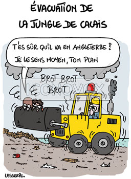 dessin de Lasserpe, réf. 0036-4286