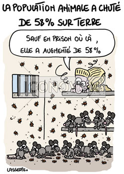 dessin de Lasserpe, réf. 0036-4306