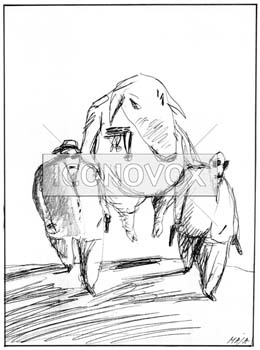 Primus inter pares, dessin de Maja, réf. 0006-0101