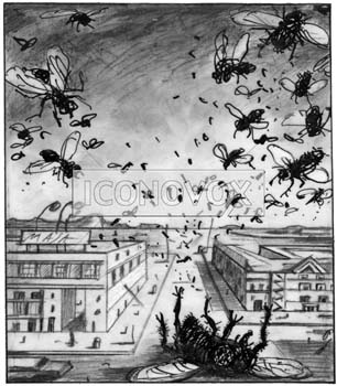 Chronique noire, dessin de Maja, réf. 0006-0358