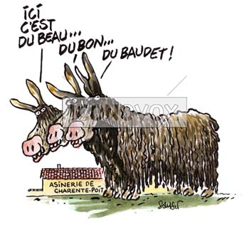 dessin de Samson, réf. 0015-0681