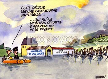 dessin de Samson, réf. 0015-0951