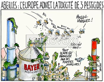 dessin de Samson, réf. 0015-2301