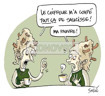 dessin de Soulcié, réf. 0051-0457