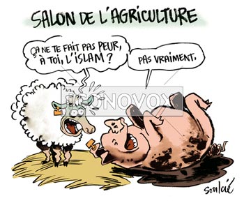 dessin de Soulcié, réf. 0051-1332